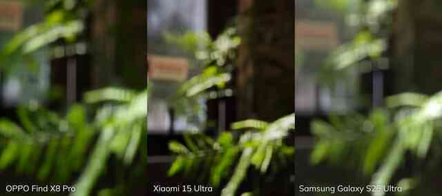 Đọ camera zoom Galaxy S25 Ultra - OPPO Find X8 Pro - Xiaomi 15 Ultra: Zoom quang thật lớn hay tăng độ phân giải mới là "chân ái"?- Ảnh 15. Đọ camera zoom Galaxy S25 Ultra - OPPO Find X8 Pro - Xiaomi 15 Ultra: Zoom quang thật lớn hay tăng độ phân giải mới là "chân ái"?- Ảnh 15.