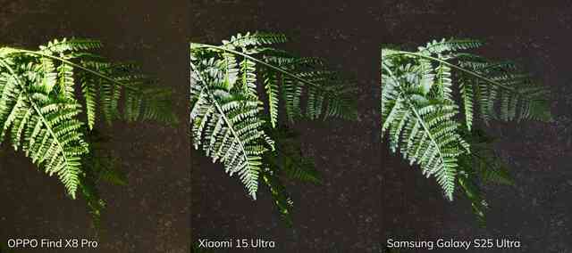 Đọ camera zoom Galaxy S25 Ultra - OPPO Find X8 Pro - Xiaomi 15 Ultra: Zoom quang thật lớn hay tăng độ phân giải mới là "chân ái"?- Ảnh 9. Đọ camera zoom Galaxy S25 Ultra - OPPO Find X8 Pro - Xiaomi 15 Ultra: Zoom quang thật lớn hay tăng độ phân giải mới là "chân ái"?- Ảnh 9.