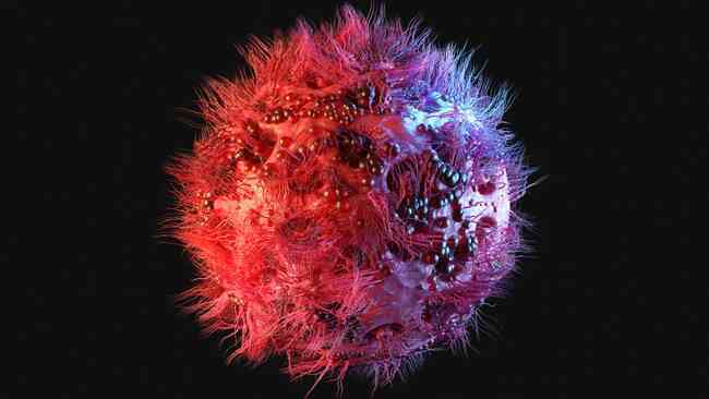 Giải mã gene chống HIV: Biến thể kháng virus có thể bắt nguồn từ người cổ đại sống gần Biển Đen cách đây 9.000 năm