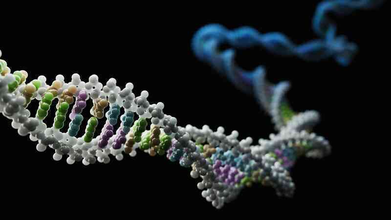 Giải mã gene chống HIV: Biến thể kháng virus có thể bắt nguồn từ người cổ đại sống gần Biển Đen cách đây 9.000 năm- Ảnh 2. Giải mã gene chống HIV: Biến thể kháng virus có thể bắt nguồn từ người cổ đại sống gần Biển Đen cách đây 9.000 năm- Ảnh 2.