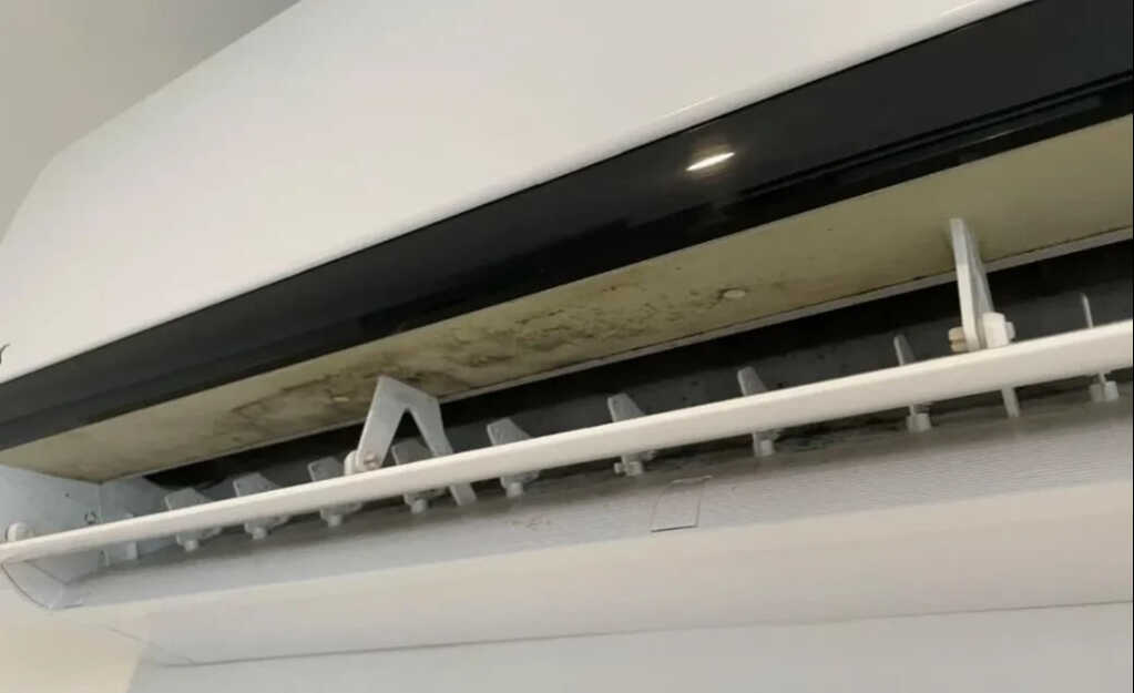 6 vật ngày nào cũng dùng dễ là ổ nấm mốc, bẩn kinh hoàng lại lăm le gây bệnh cho người- Ảnh 8. 6 vật ngày nào cũng dùng dễ là ổ nấm mốc, bẩn kinh hoàng lại lăm le gây bệnh cho người- Ảnh 8.