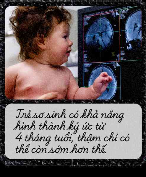 Tại sao chúng ta quên hầu hết ký ức thời thơ ấu: Đó là món quà hay cái giá phải trả của sự trưởng thành?- Ảnh 14. Tại sao chúng ta quên hầu hết ký ức thời thơ ấu: Đó là món quà hay cái giá phải trả của sự trưởng thành?- Ảnh 14.