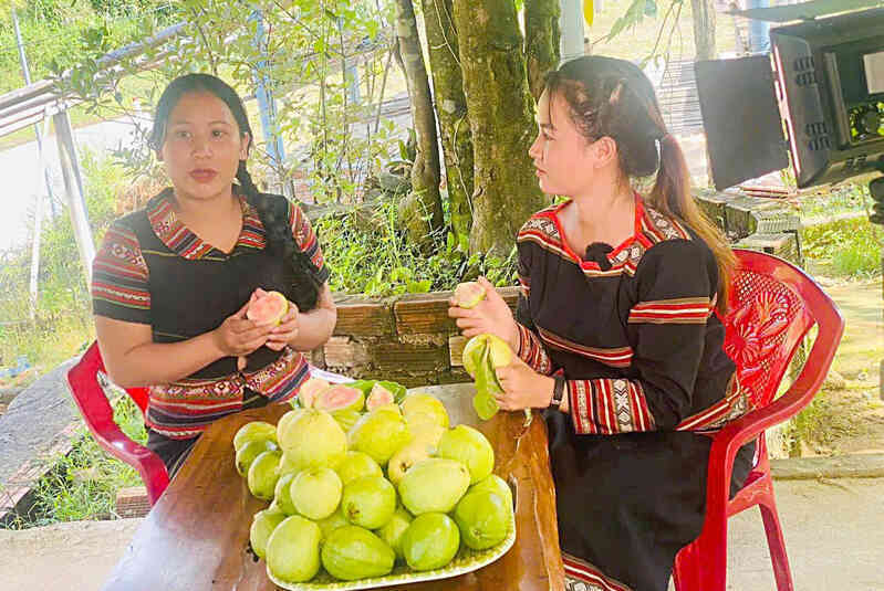 Livestream bán hàng trực tuyến trên TikTok: 300 triệu đổ về tỉnh vùng cao chỉ sau vài giờ