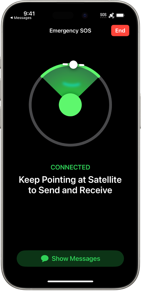 Apple từng tham vọng cung cấp dịch vụ Internet vệ tinh tới tận gia đình