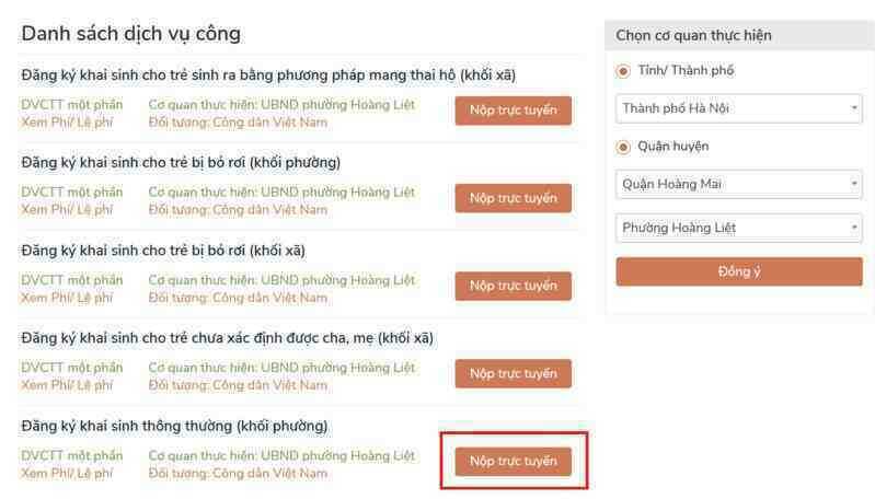 dang ky giay khai sinh online 81.png