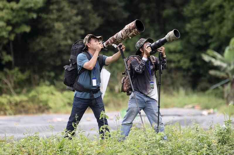 Vietnam BirdRace 2025: Những cánh chim kết nối thế giới từ Bidoup – Núi Bà- Ảnh 2. Vietnam BirdRace 2025: Những cánh chim kết nối thế giới từ Bidoup – Núi Bà- Ảnh 2.