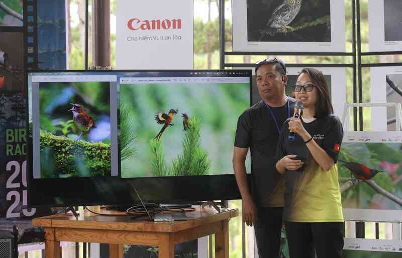 Vietnam BirdRace 2025: Những cánh chim kết nối thế giới từ Bidoup – Núi Bà- Ảnh 12. Vietnam BirdRace 2025: Những cánh chim kết nối thế giới từ Bidoup – Núi Bà- Ảnh 12.