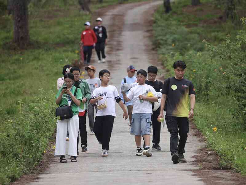Vietnam BirdRace 2025: Những cánh chim kết nối thế giới từ Bidoup – Núi Bà- Ảnh 17. Vietnam BirdRace 2025: Những cánh chim kết nối thế giới từ Bidoup – Núi Bà- Ảnh 17.