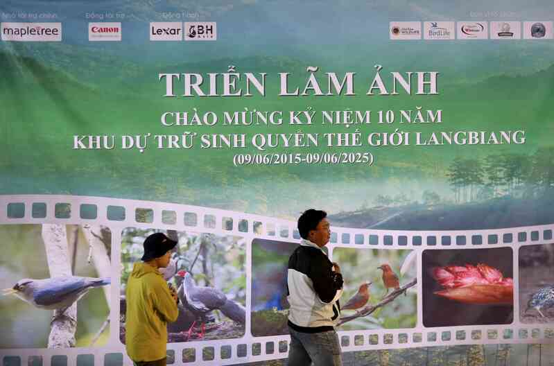 Vietnam BirdRace 2025: Những cánh chim kết nối thế giới từ Bidoup – Núi Bà- Ảnh 18. Vietnam BirdRace 2025: Những cánh chim kết nối thế giới từ Bidoup – Núi Bà- Ảnh 18.