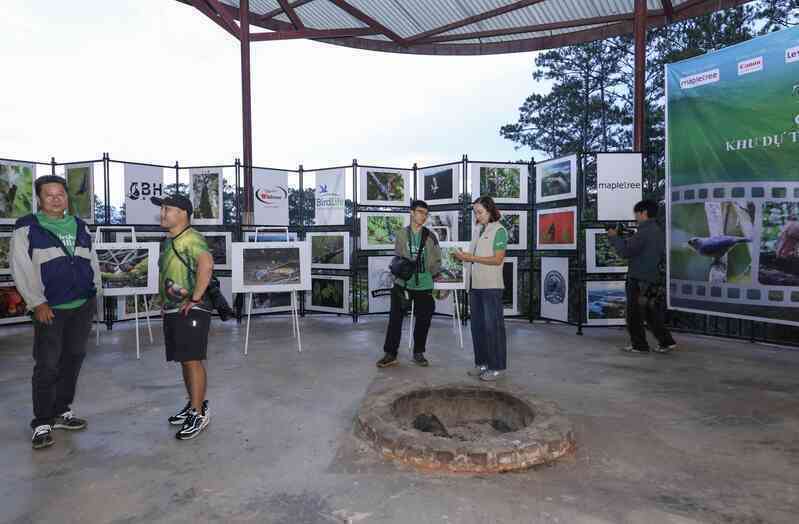 Vietnam BirdRace 2025: Những cánh chim kết nối thế giới từ Bidoup – Núi Bà- Ảnh 19. Vietnam BirdRace 2025: Những cánh chim kết nối thế giới từ Bidoup – Núi Bà- Ảnh 19.