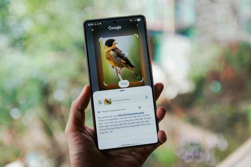 Khám phá thiên nhiên cùng Galaxy S25 Series và trợ lý Gemini Live