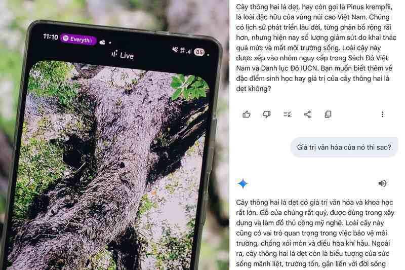 Khám phá thiên nhiên cùng Galaxy S25 Series và trợ lý Gemini Live - 4