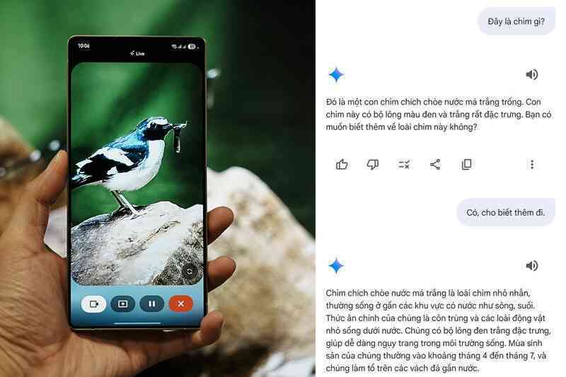 Khám phá thiên nhiên cùng Galaxy S25 Series và trợ lý Gemini Live - 5