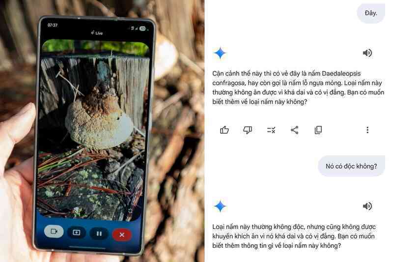 Khám phá thiên nhiên cùng Galaxy S25 Series và trợ lý Gemini Live - 6