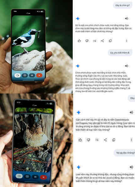 ipiccy_image (1)(1).jpg