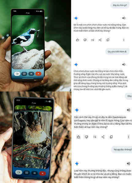 ipiccy_image (1)(1).jpg