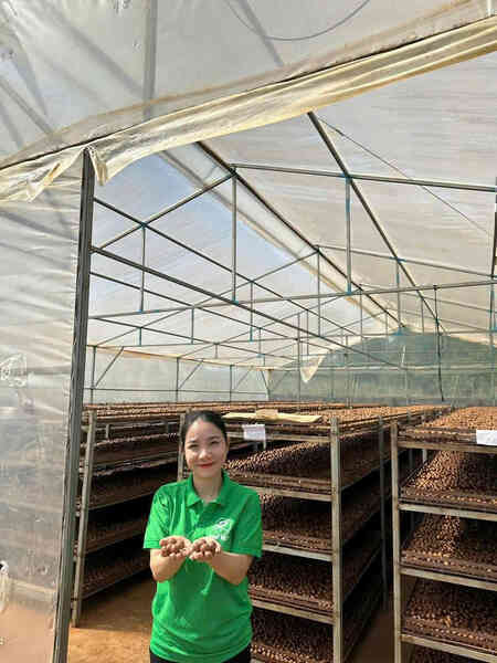 Cô gái Đồng Nai thu 