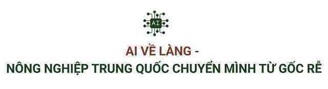 AI 'về làng'- chưa bao giờ việc bón phân, tưới nước ở thị trấn nhỏ này đơn giản như thế: Thời gian rút ngắn còn 1/10, tăng giá trị lại không thay thế con người- Ảnh 3. AI 'về làng'- chưa bao giờ việc bón phân, tưới nước ở thị trấn nhỏ này đơn giản như thế: Thời gian rút ngắn còn 1/10, tăng giá trị lại không thay thế con người- Ảnh 3.