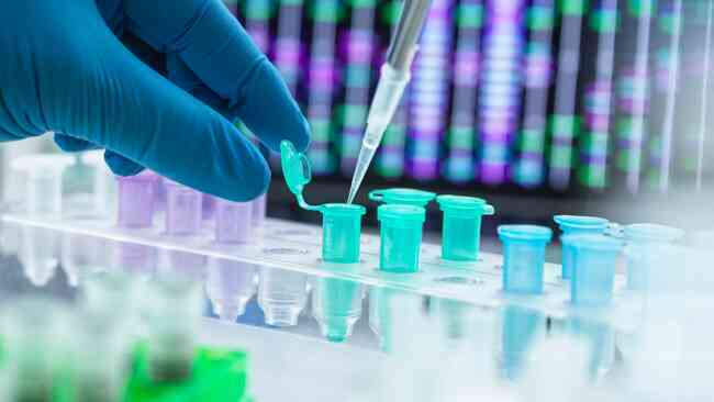 DNA được sử dụng như thế nào để xác định nạn nhân trong các thảm họa hàng loạt?
