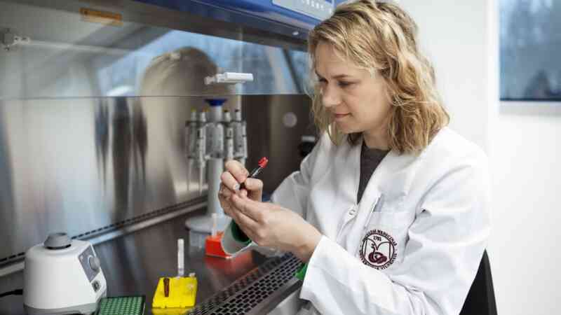 DNA được sử dụng như thế nào để xác định nạn nhân trong các thảm họa hàng loạt?- Ảnh 3. DNA được sử dụng như thế nào để xác định nạn nhân trong các thảm họa hàng loạt?- Ảnh 3.