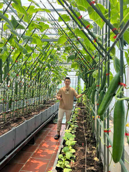 Gửi rau thay lời cảm ơn: Ông bố Hà Nội biến sân thượng thành vườn, tặng nông sản cho người ủng hộ thiện nguyện
