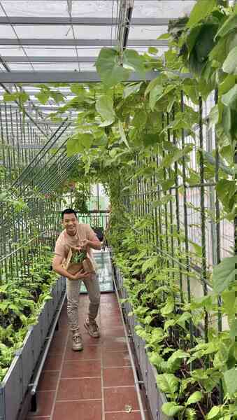 Gửi rau thay lời cảm ơn: Ông bố Hà Nội biến sân thượng thành vườn, tặng nông sản cho người ủng hộ thiện nguyện- Ảnh 13. Gửi rau thay lời cảm ơn: Ông bố Hà Nội biến sân thượng thành vườn, tặng nông sản cho người ủng hộ thiện nguyện- Ảnh 13.