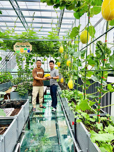 Gửi rau thay lời cảm ơn: Ông bố Hà Nội biến sân thượng thành vườn, tặng nông sản cho người ủng hộ thiện nguyện- Ảnh 16. Gửi rau thay lời cảm ơn: Ông bố Hà Nội biến sân thượng thành vườn, tặng nông sản cho người ủng hộ thiện nguyện- Ảnh 16.