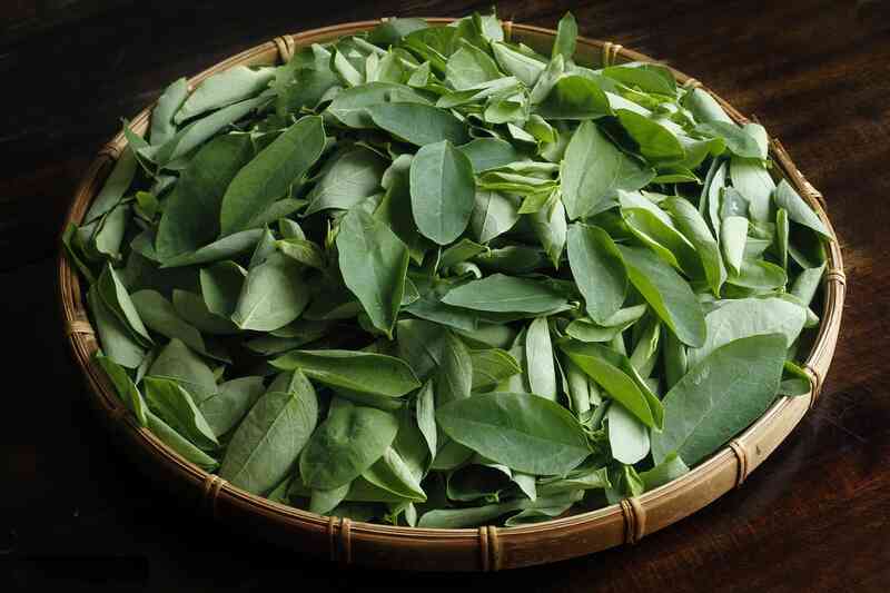 Đi tìm loại rau siêu rẻ ở Việt Nam, bán đầy chợ, lại tốt cho sinh lý phái mạnh- Ảnh 3. Đi tìm loại rau siêu rẻ ở Việt Nam, bán đầy chợ, lại tốt cho sinh lý phái mạnh- Ảnh 3.