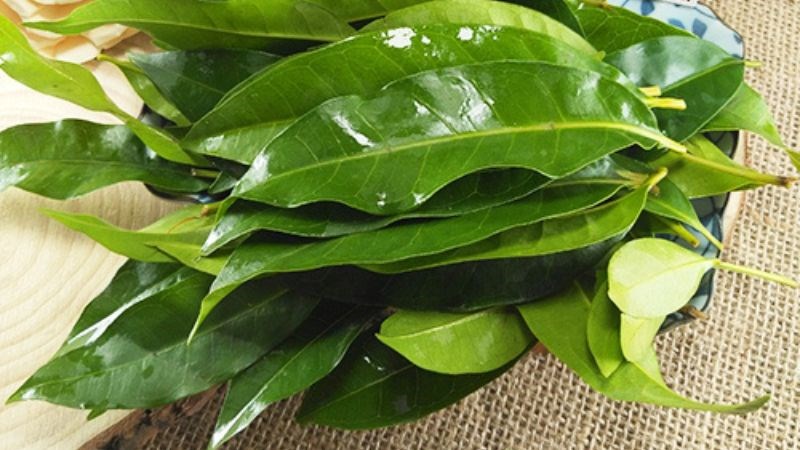 Loại lá dân dã của Việt Nam đun nước uống hiệu quả hơn hẳn thực phẩm chức năng đắt tiền- Ảnh 2.