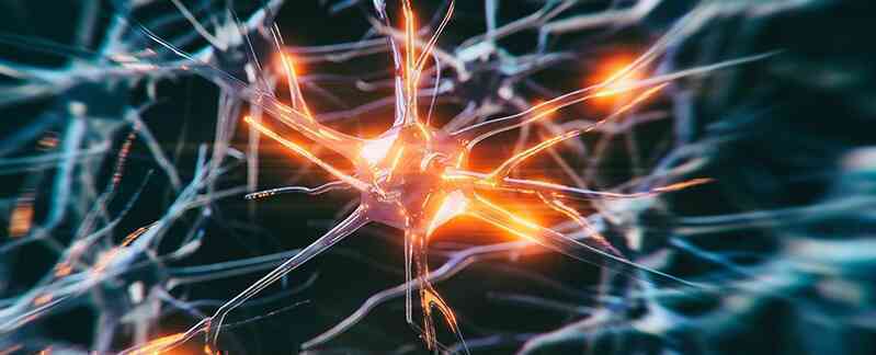 Ca bệnh Alzheimer trẻ nhất lịch sử: Nam thanh niên mới 19 tuổi đã mắc căn bệnh người già