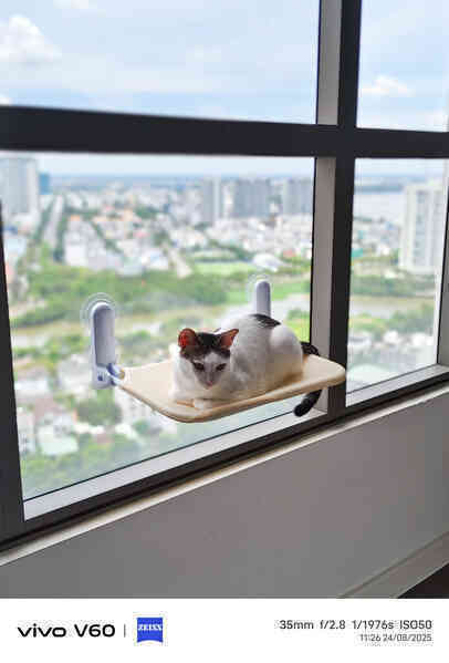 Trên tay vivo V60: Trang bị camera hợp tác với ZEISS, pin khủng 6500mAh, sắp về Việt Nam- Ảnh 21. Trên tay vivo V60: Trang bị camera hợp tác với ZEISS, pin khủng 6500mAh, sắp về Việt Nam- Ảnh 21.
