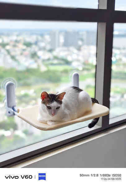 Trên tay vivo V60: Trang bị camera hợp tác với ZEISS, pin khủng 6500mAh, sắp về Việt Nam- Ảnh 22. Trên tay vivo V60: Trang bị camera hợp tác với ZEISS, pin khủng 6500mAh, sắp về Việt Nam- Ảnh 22.