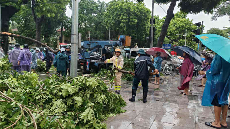 Khoảnh khắc cây xà cừ cổ thụ bật gốc đè bẹp ô tô trên đường Trần Phú- Ảnh 11.