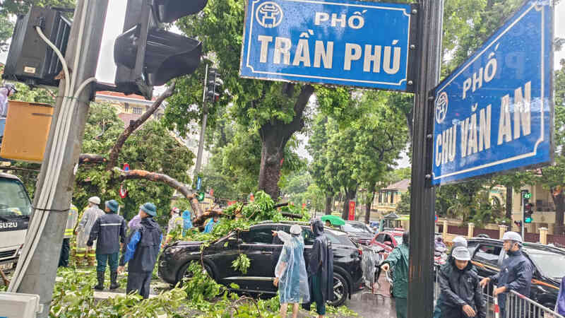 Khoảnh khắc cây xà cừ cổ thụ bật gốc đè bẹp ô tô trên đường Trần Phú- Ảnh 13.