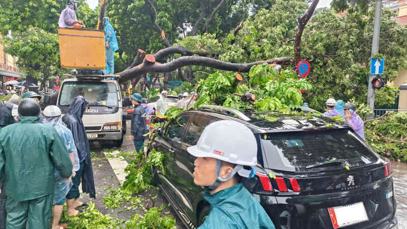 Khoảnh khắc cây xà cừ cổ thụ bật gốc đè bẹp ô tô trên đường Trần Phú- Ảnh 7.