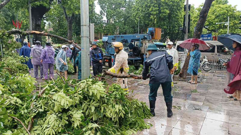 Khoảnh khắc cây xà cừ cổ thụ bật gốc đè bẹp ô tô trên đường Trần Phú- Ảnh 10.