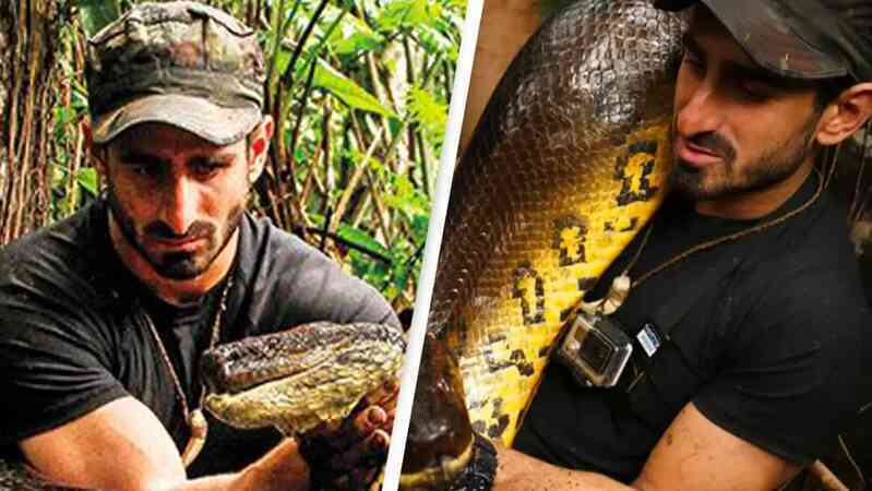 Bên trong dạ dày Anaconda: Con người sẽ sống được bao lâu trước khi bị tiêu hóa?- Ảnh 3. Bên trong dạ dày Anaconda: Con người sẽ sống được bao lâu trước khi bị tiêu hóa?- Ảnh 3.