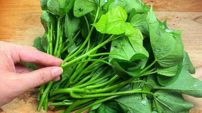 Loại “rau từng cho heo” thành siêu thực phẩm được Mỹ thu mua với giá 1 triệu/kg vì khả năng “ức chế tế bào phổi bệnh lý” mạnh hơn cả thuốc nhập khẩu