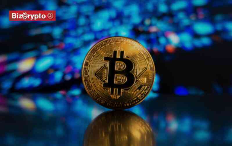 Giá Bitcoin vượt 110.000 USD: Có bao nhiêu người trên thế giới đang sở hữu trọn vẹn một Bitcoin?