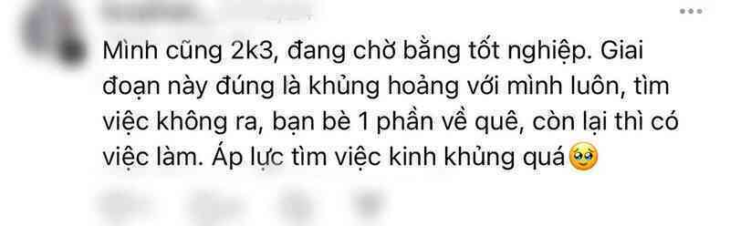 2k3 ra trường nhưng không thể kiếm việc- Ảnh 4.