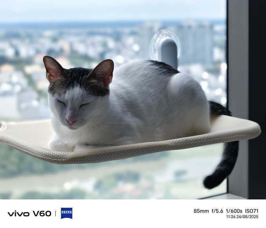 Trải nghiệm nhanh vivo V60: Thích ngay từ cái nhìn đầu tiên nhưng team “cấu hình thủ” cần cân nhắc- Ảnh 15.