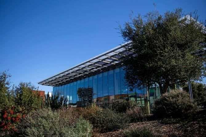 Kỹ sư phần mềm 35 tuổi đột tử ngay tại văn phòng Microsoft- Ảnh 2. Kỹ sư phần mềm 35 tuổi đột tử ngay tại văn phòng Microsoft- Ảnh 2.
