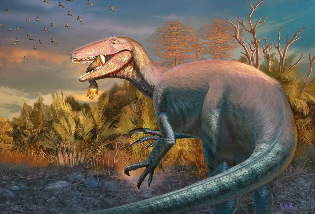 Hé lộ loài khủng long Megaraptor mới với bữa ăn cuối cùng vẫn còn kẹt trong hàm