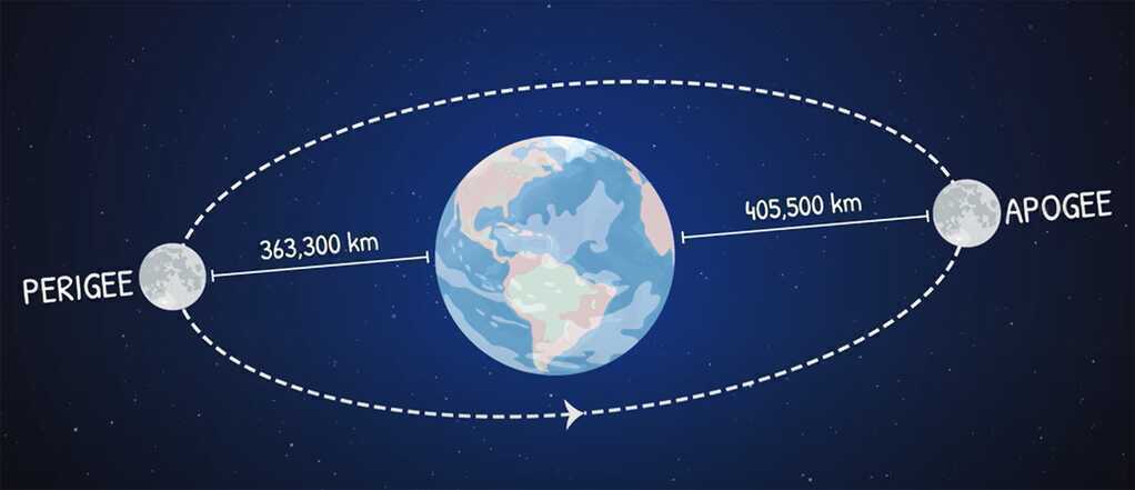 Sieu trang Viet Nam 4.png