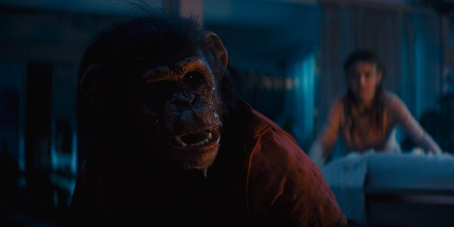 "Primate" 2026: Cơn ác mộng đẫm máu từ thú cưng hóa quái vật khơi dậy niềm vui nguyên thủy của dòng phim kinh dị - Ảnh 4.