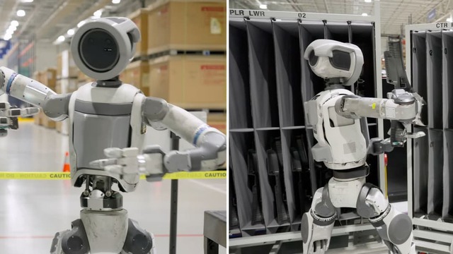 CES 2026 cho thấy robot hình người đã sẵn sàng trở thành lao động thực thụ trong nhà máy, gia đình và bệnh viện