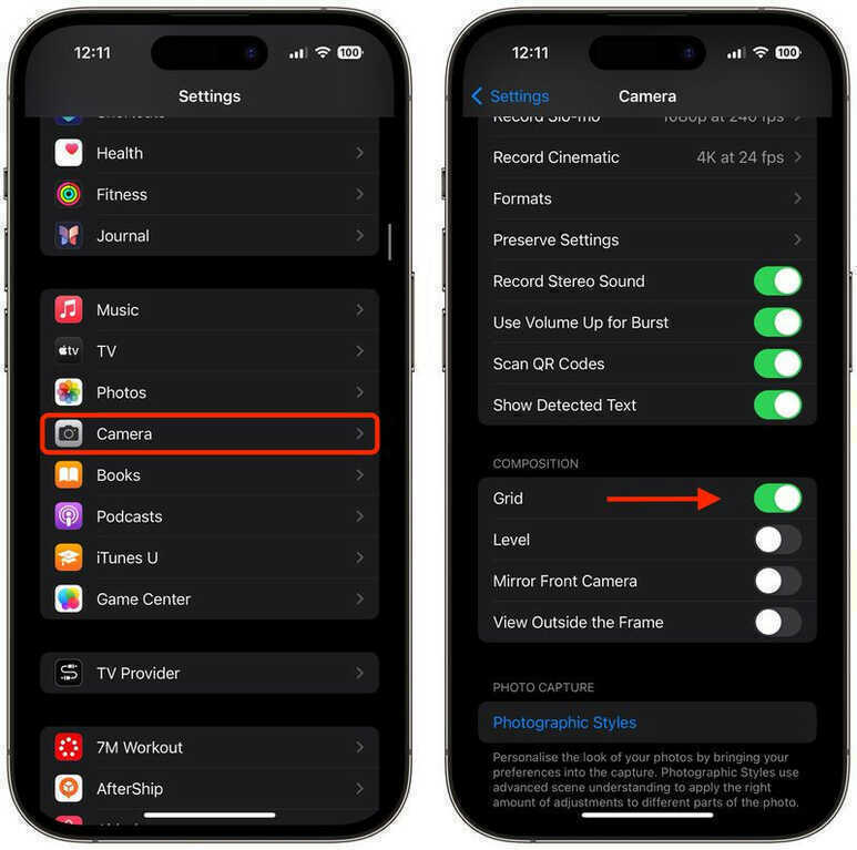camera grid setting.jpg