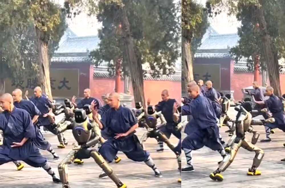 robot trung quốc.png