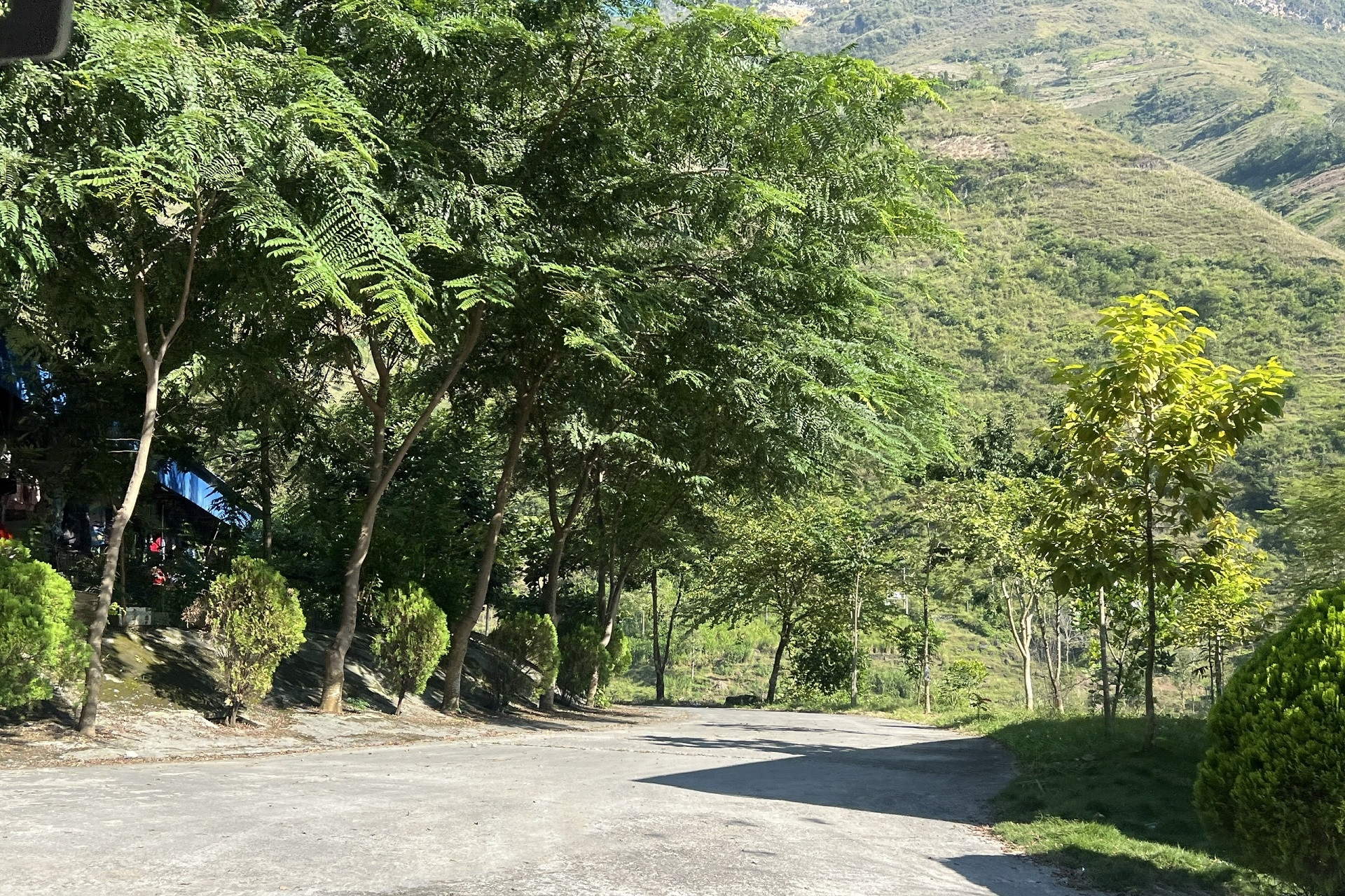 Ứng dụng phần mềm tạo nền tảng dữ liệu cho dự báo thị trường lâm sản