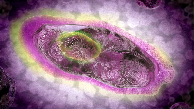 Lần đầu tiên phát hiện ra loại virus có thể tự tạo ra năng lượng